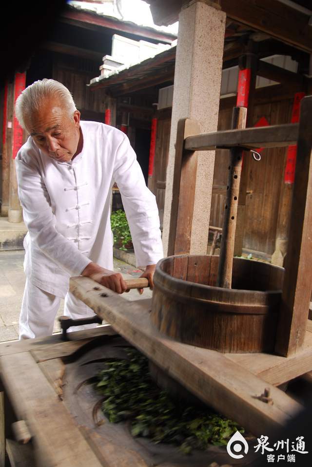 尋找泉州世遺的中國之最安溪西坪最早發現鐵觀音母樹