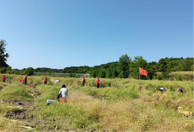 贵平镇:文明实践深入群众 零距离不打烊