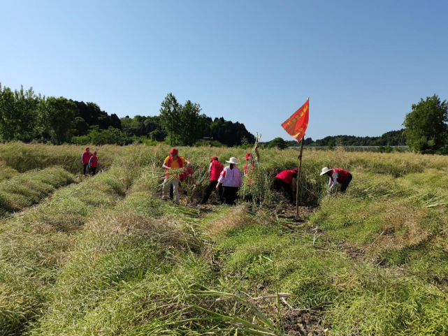 贵平镇:文明实践深入群众 零距离不打烊