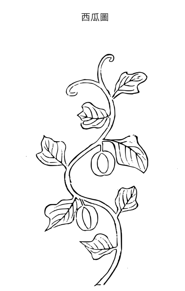 西瓜的叶子简笔画图片