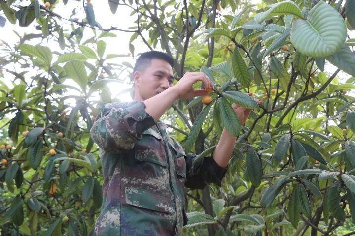 春逝夏启，新兵萌芽！三年级上册英语词性