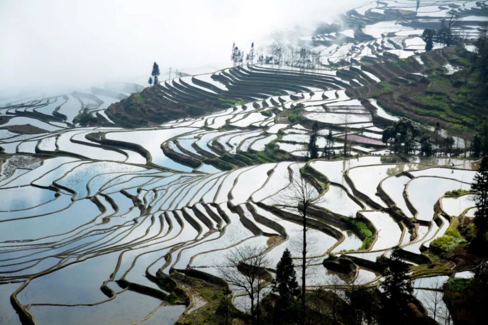 天人合一风景图图片