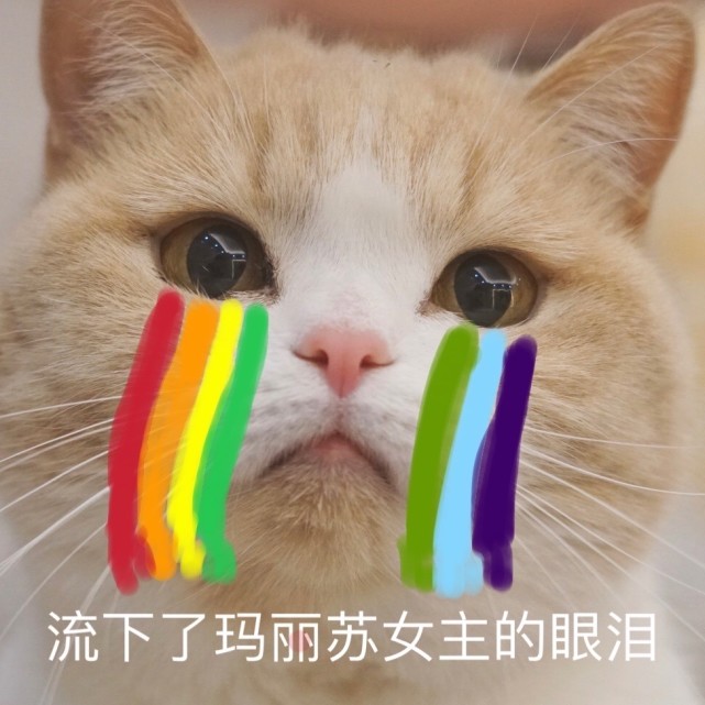 饭姐想说,玛丽苏有风险,拍戏安全第一!