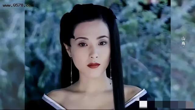 還有曾黎與林心如,陸毅主演的都市情感劇《男才女貌》,她在劇中飾演了