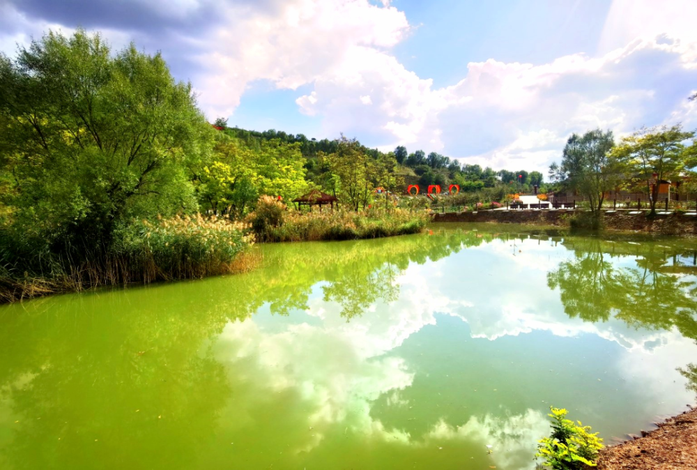 静宁县35苹果谷夏季潮体验