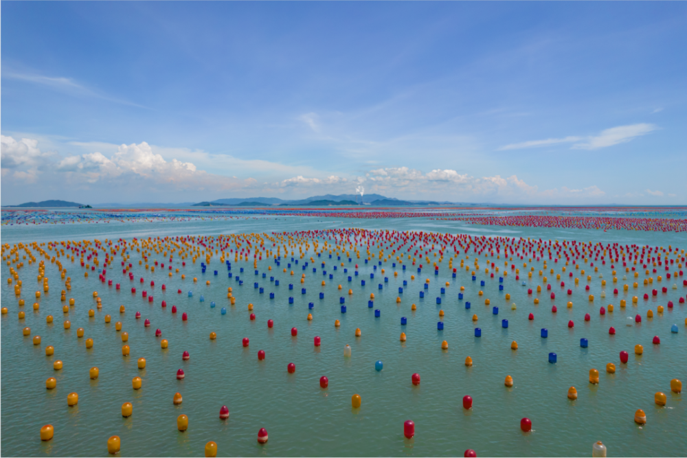 十大旅游打卡点指南丨一起去南澳看治愈系彩虹海吧