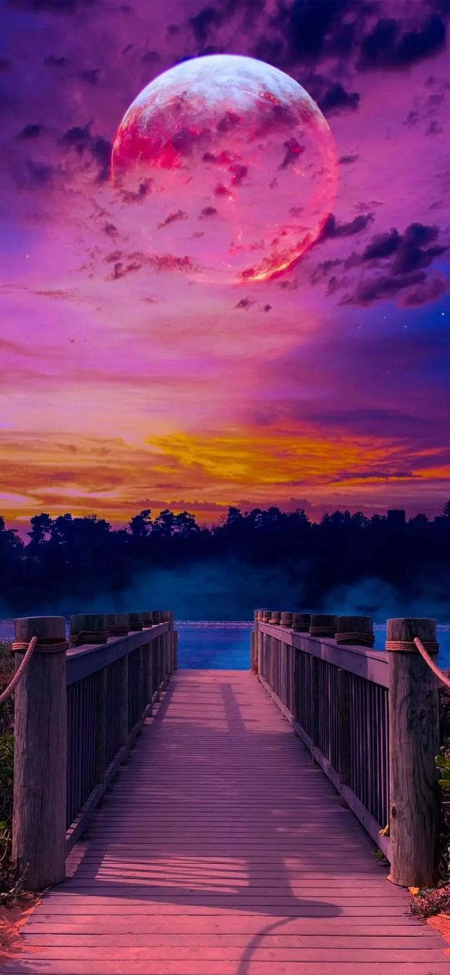 漂亮的壁纸 腾讯网