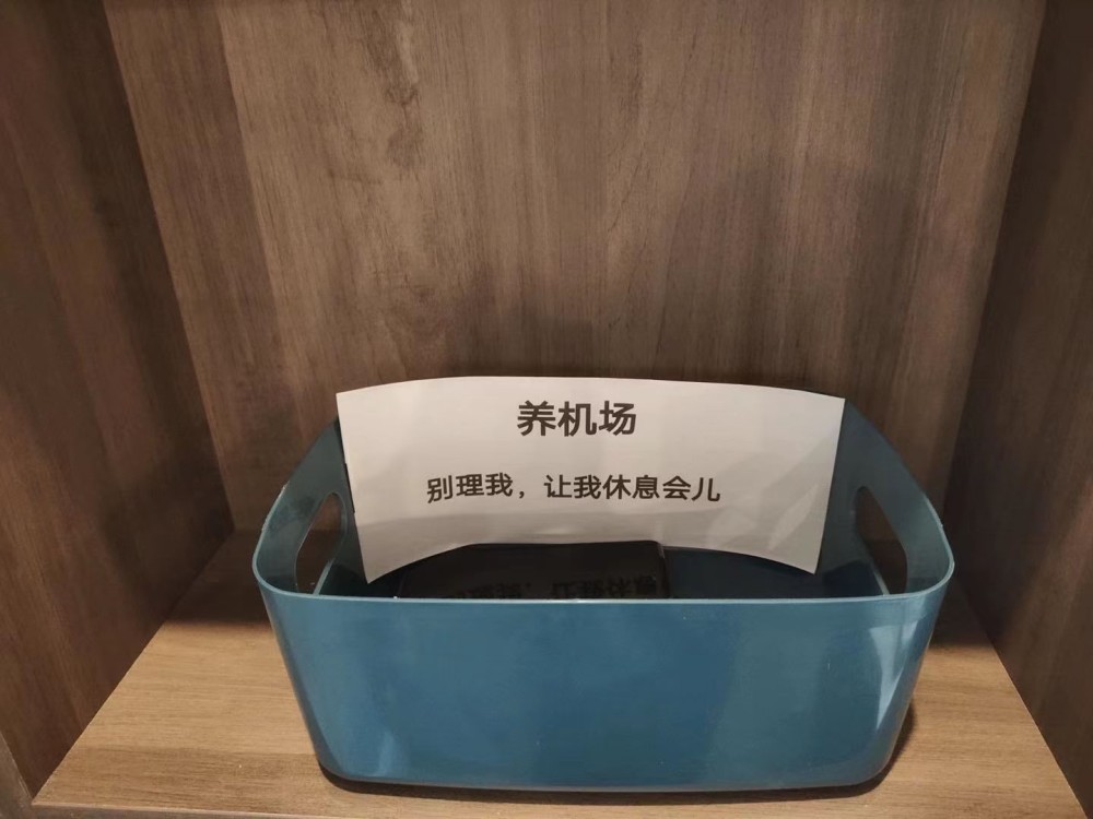 学生家庭自制的"养机场.