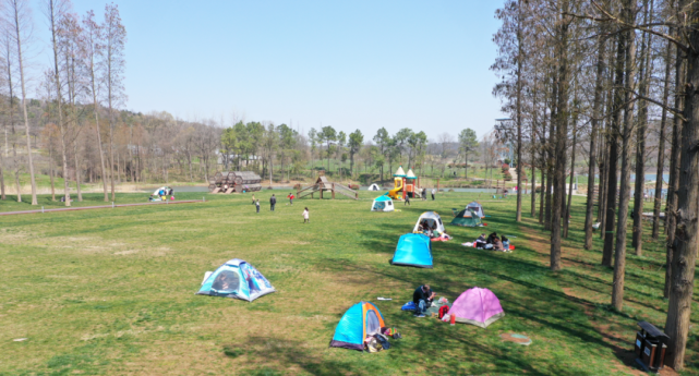 向北3公里—平山森林公園2,南京市區—南京二橋(雍六高速)--寧連公路