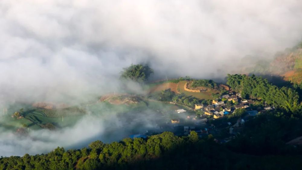 普洱茶视界丨茶旅融合思茅云仙乡许你一个诗和远方