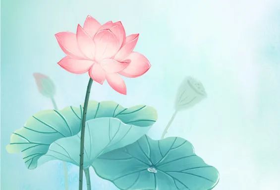 母亲节主题朗诵推荐|《荷叶母亲》