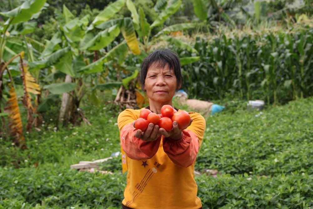 劳作的母亲大片来袭来自社工镜头下特别的母亲节礼物