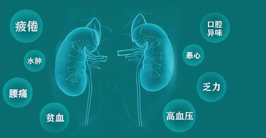 慢性腎衰竭症狀表現多樣化慢性腎衰竭到底該怎麼治療