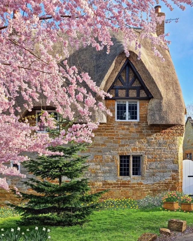 童话世界,花园小屋