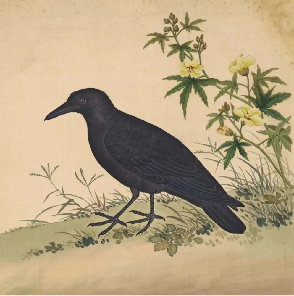 马王堆汉墓一号墓t型帛画右上角太阳中的金乌,作为太阳的别名,也称为"