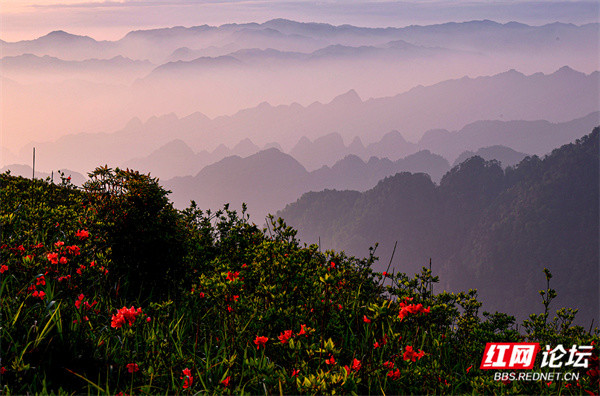 【每日一图@湖南】江南草原燕子山,在湖南也能策马奔腾
