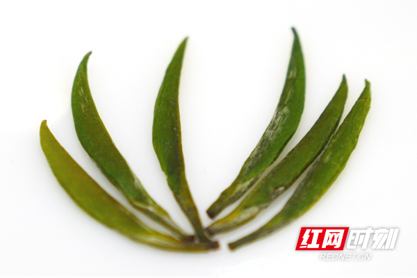 寻味丨跨越千年的味觉臻品石门牛抵茶