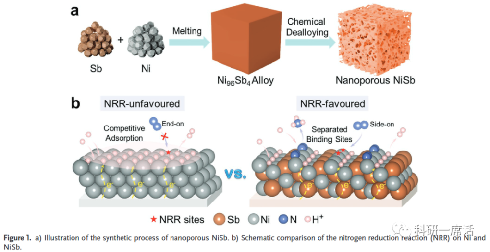 南开am纳米多孔nisb通过调节竞争吸附位点增强电化学固氮效果
