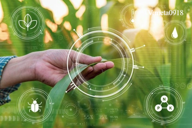 智慧农业解决方案 智慧农业发展现状及趋势_腾讯新闻