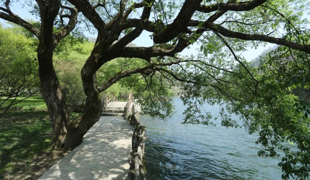 陇南风光|诗画阳坝,让你领略不一样的康县!_腾讯新闻