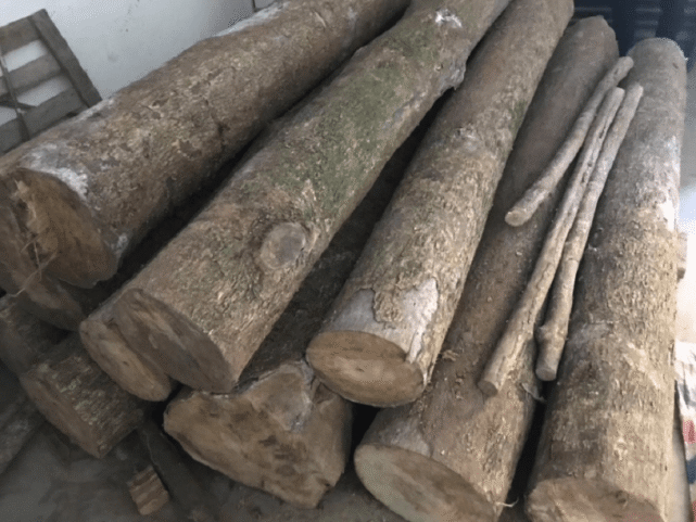 金丝楠木有多贵金丝楠木曾被皇宫专用现在为何没人愿意种了