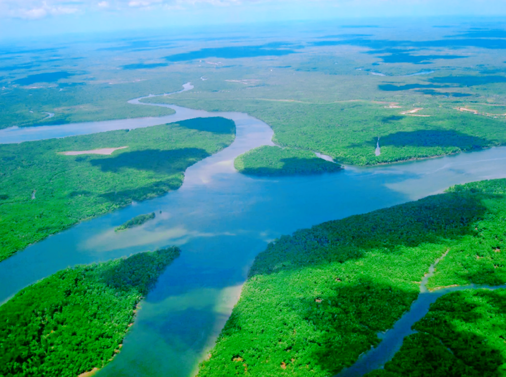 流量是长江7倍的亚马逊河,上面为啥没有桥?相关人士这样说
