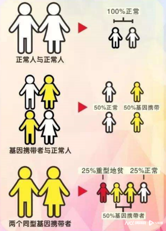 地中海贫血呈常染色体隐性遗传.