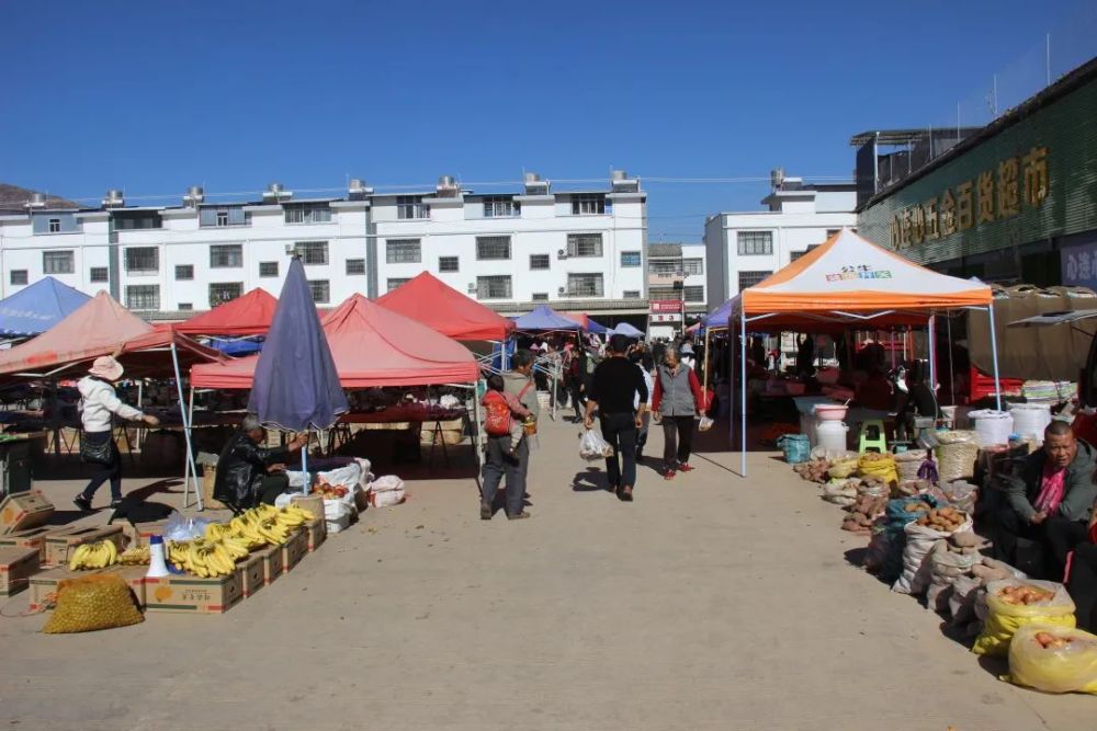 伟大变革宾居村从小乡村到小香港的蝶变