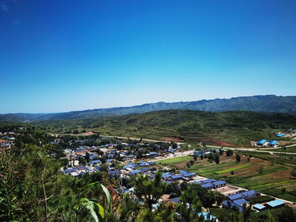 宁夏杨岭村苦瘠山乡美丽绽放