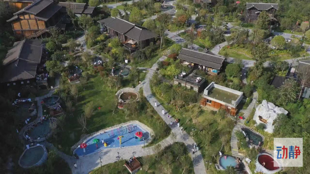 记者观察丨毕节百里杜鹃 打造花期之外的 花样经济 腾讯新闻