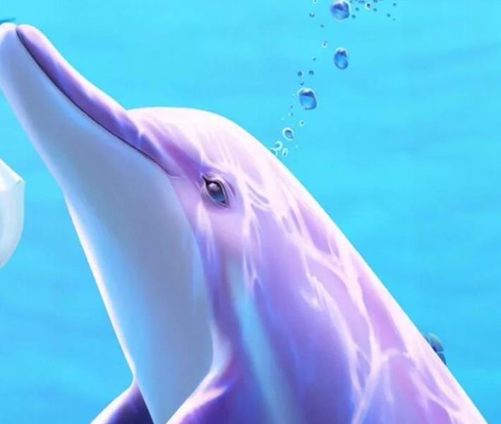 塔罗牌占卜 一张塔罗牌告诉你你在他心中的感觉 文通新闻网 有思想的网站