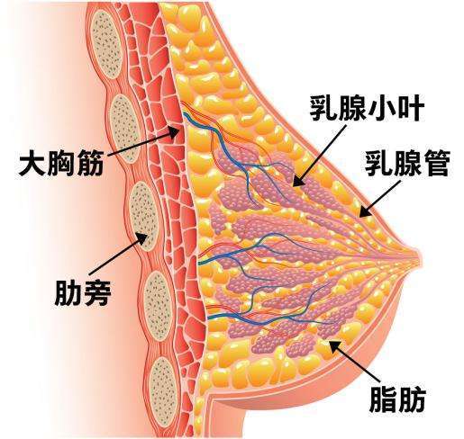 母亲节特稿