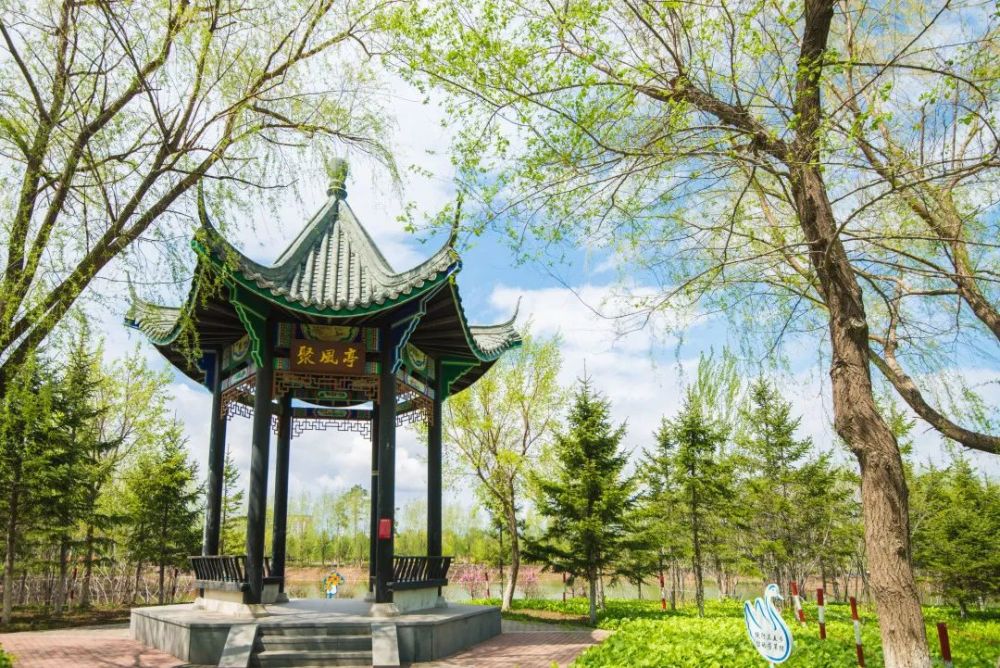 街拍·德惠丨秀丽俊美——惠民公园_腾讯新闻