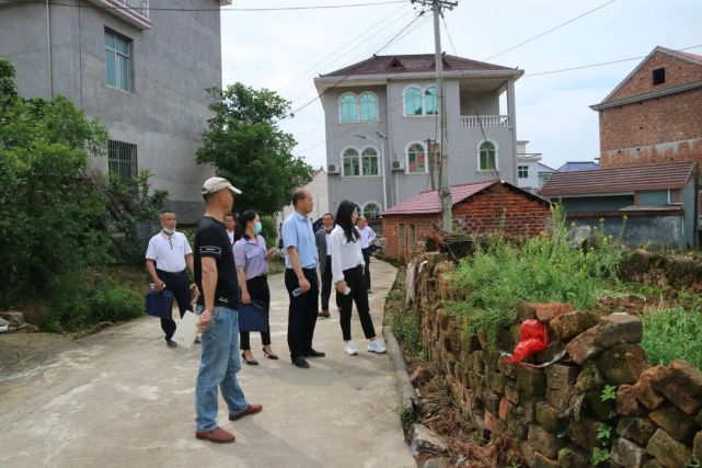 评比镇党委书记蔡俊观摩琴亭镇人居环境整治刷村评比