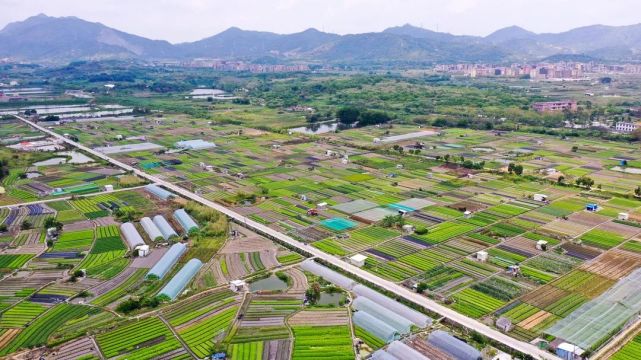 86平方千米,下辖20个村委会和1个社区居委会,截至2019年末,南径镇户籍