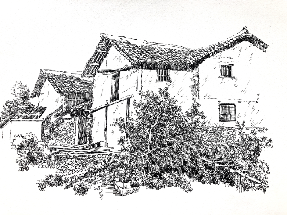 跟着钢笔画游城北丨麻垟桥村别样红