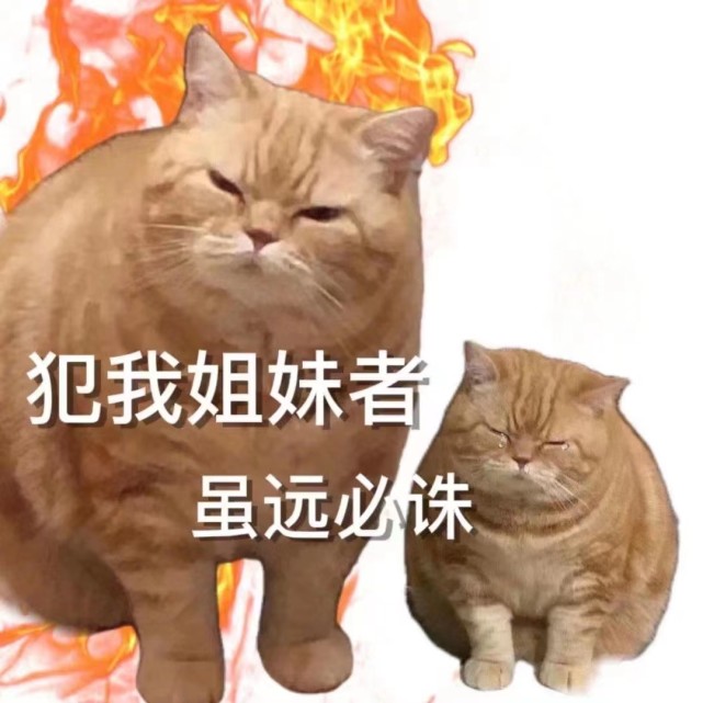 沙雕表情包|丫头,眼神骗不了人