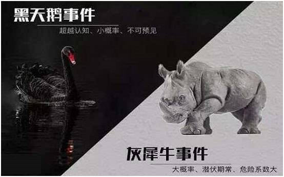 公安部坚决防止各类黑天鹅灰犀牛事件发生