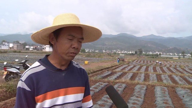 巍山县庙街镇镇长图片