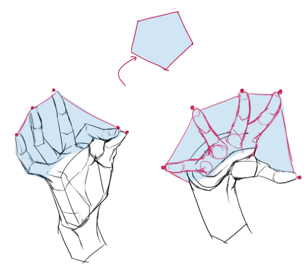 绘画初学者如何正确画手?教你基础的手部手势绘制思路