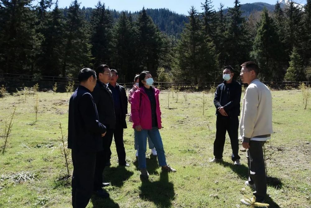 县人民政府副县长钟宇,县交通运输局,县林草局,县农畜水务局相关负责