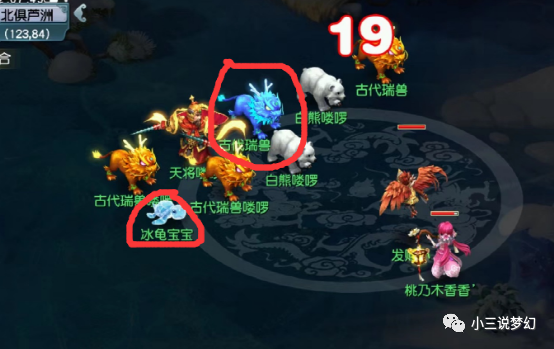因为上面的这位玩家在北俱芦洲同时碰到了冰龟的宝宝跟变异古代瑞兽