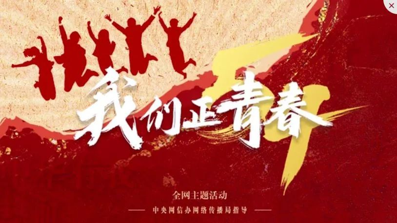 南岸津声忠诚履职彰显青春使命担当