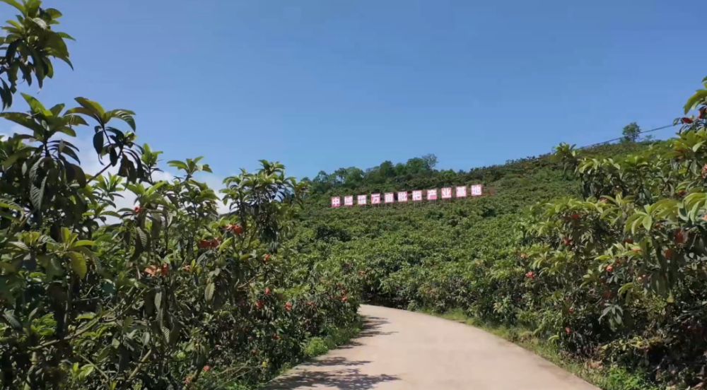 近年来,绥江县中城镇结合镇村实际,因地制宜在大沙村,农业村,良姜村