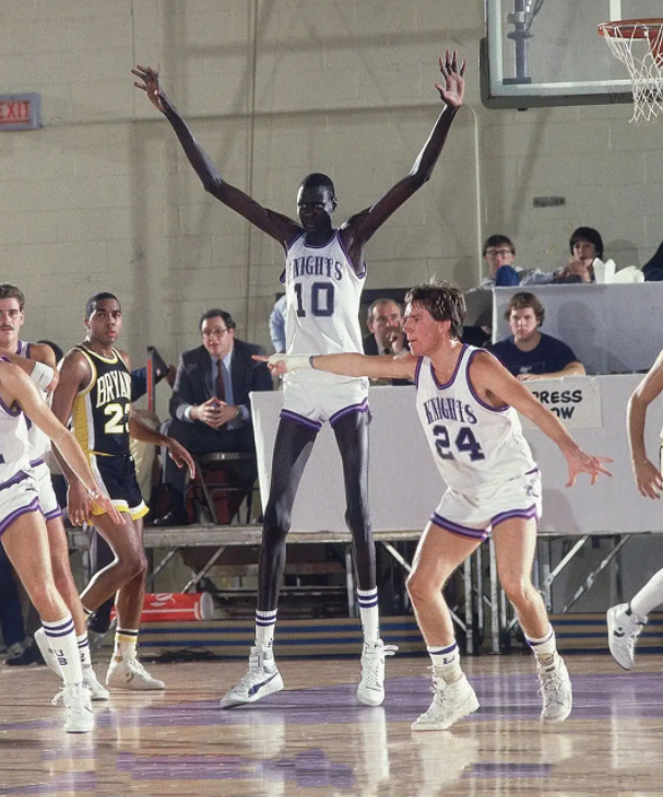 身高2米31波尔身材有多夸张?游泳像巨型水怪