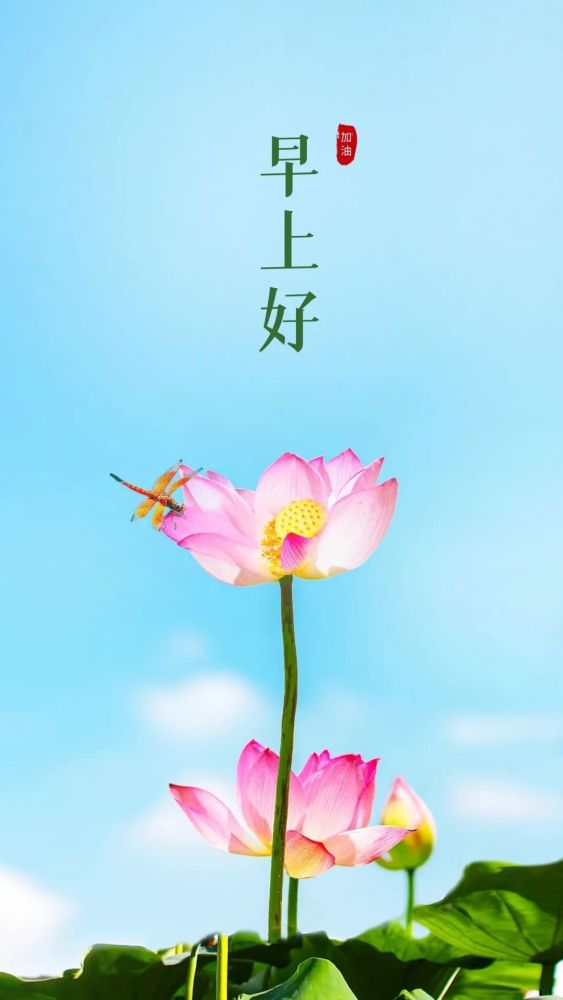 早安朋友圈正能量图片句子,微信早上好励志图片带字,激励人心_腾讯