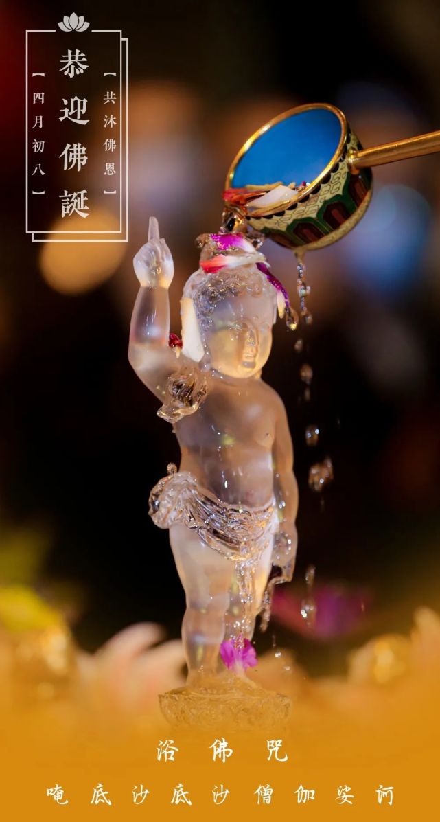 恭迎佛诞丨农历四月初八——释迦牟尼佛圣诞