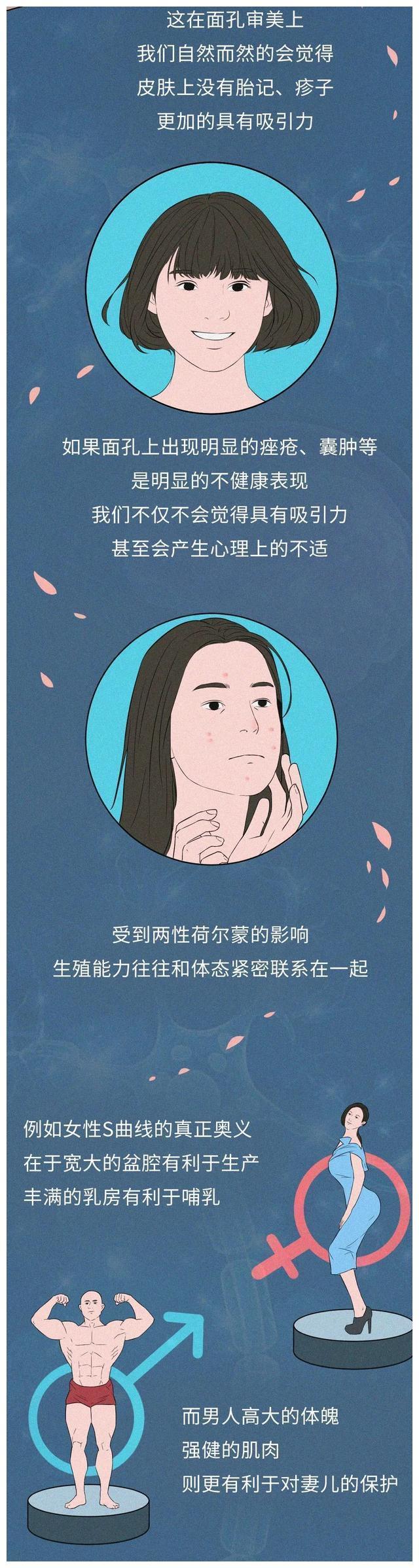 人类交接配的图片 人类是如何交匹配的照片