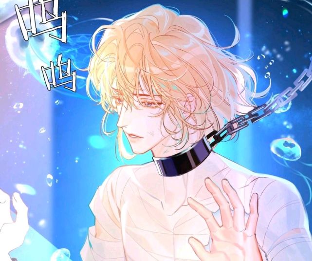 故事简介《人鱼陷落》的设定十分新颖,abo世界 进化能力,设定很多但不