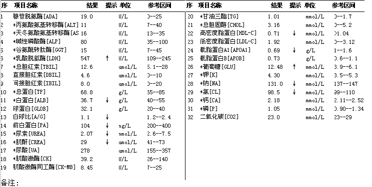 圖6 血片,瑞氏染色,×1000圖5 血片,瑞氏染色,×1000外周血細胞形態學